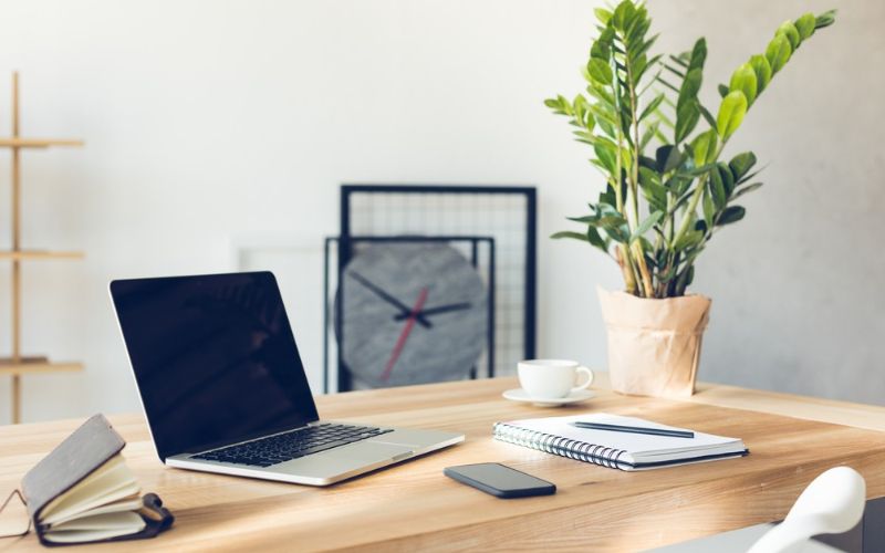Lợi ích của việc đặt cây trên bàn văn phòng làm việc