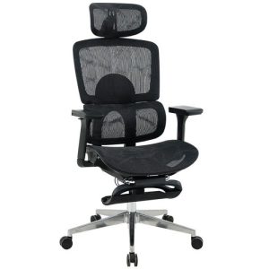 Ghế công thái học The One GLE21