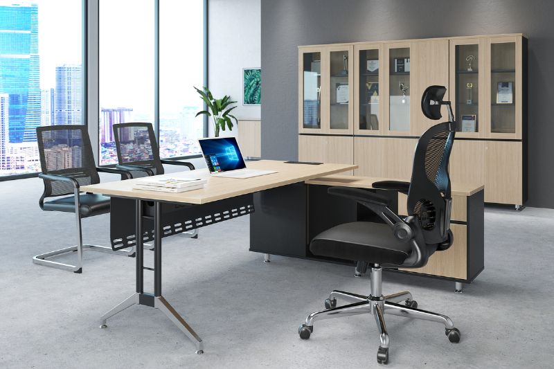 Kinh nghiệm mua tủ hồ sơ tài liệu dành cho giám đốc đẹp sang trọng